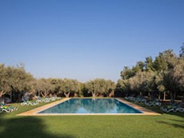 Oasis Lodges Marrakech (10)