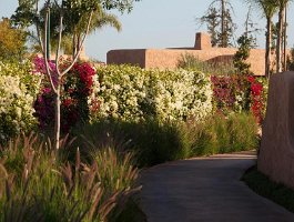 Oasis Lodges Marrakech (14)