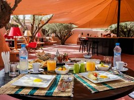 Oasis Lodges Marrakech (15)