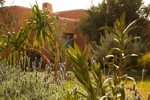 Oasis Lodges Marrakech (26)