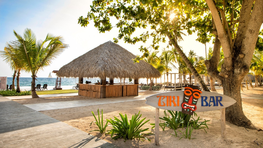 Viva Dominicus Beach - Rep Dom (23) 